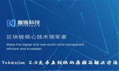 Tokenim 2.0充币未到账的原因及解决方法