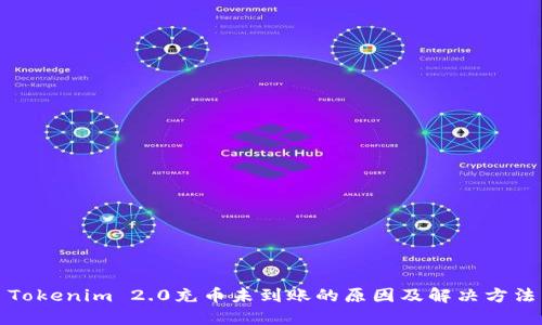 Tokenim 2.0充币未到账的原因及解决方法