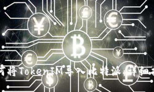如何将TokenIM导入比特派:详细指南