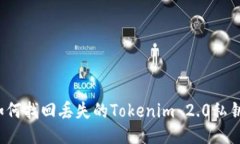 如何找回丢失的Tokenim 2.0私钥?