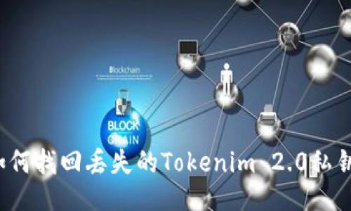 如何找回丢失的Tokenim 2.0私钥?