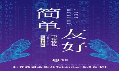 如何找回丢失的Tokenim 2.0私钥?