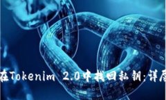 如何在Tokenim 2.0中找回私钥:详尽指南