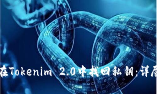 如何在Tokenim 2.0中找回私钥:详尽指南