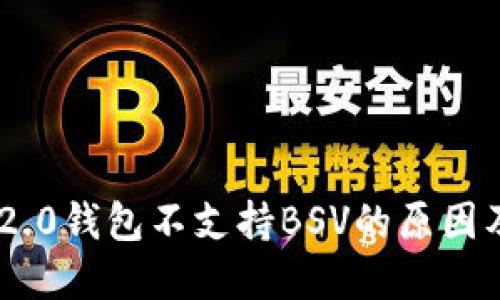 Tokenim 2.0钱包不支持BSV的原因及解决方案
