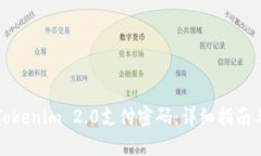 如何找回Tokenim 2.0支付密码:详细指南与解决方案