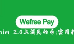 如何找回Tokenim 2.0上消失的币:实用指南与注意事