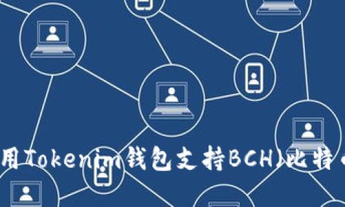 如何使用Tokenim钱包支持BCH(比特币现金)