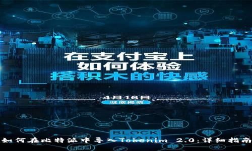 如何在比特派中导入Tokenim 2.0:详细指南
