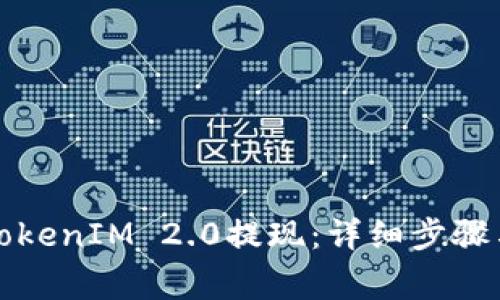 如何使用TokenIM 2.0提现:详细步骤与注意事项