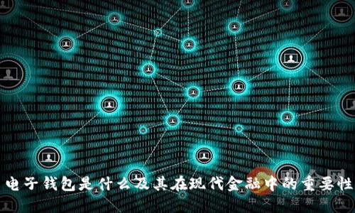 电子钱包是什么及其在现代金融中的重要性