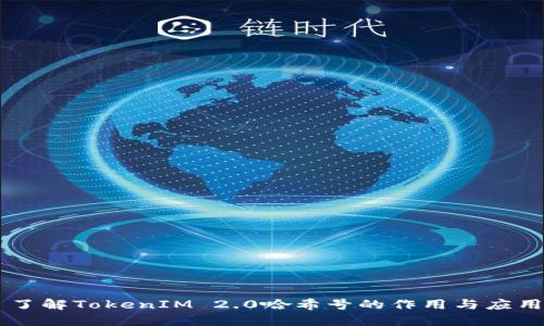 了解TokenIM 2.0哈希号的作用与应用