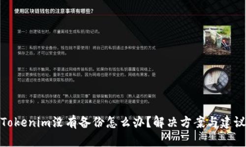 Tokenim没有备份怎么办?解决方案与建议