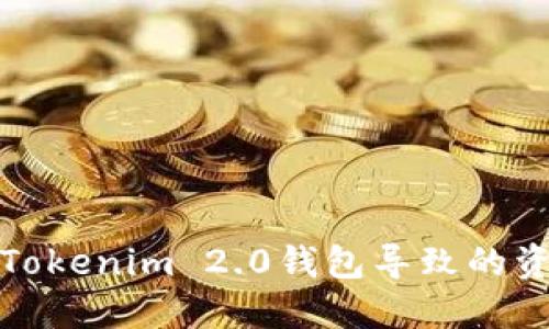 如何解决假Tokenim 2.0钱包导致的资产冻结问题