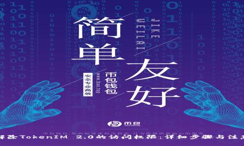 如何解除TokenIM 2.0的访问权限:详细步骤与注意事项